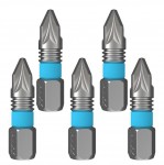 Screwdriver and Impact Torsion Bits